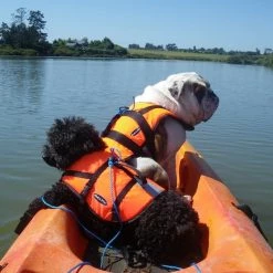 Baltic Pet/Dog Life Jacket -Deals Baltic Store pet buoyancy 2